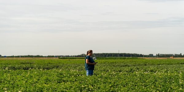 Colijnsplaat onderzoek akkerbouw
