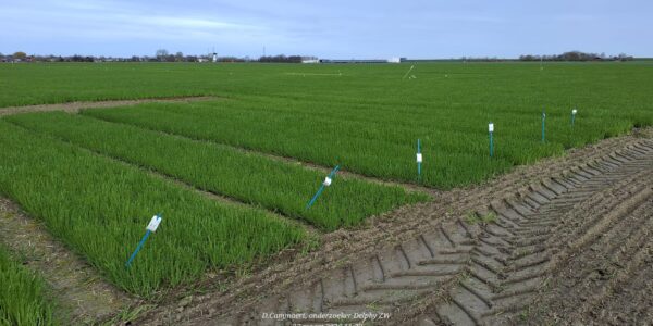 onderzoek akkerbouw